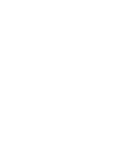 SSL Logo